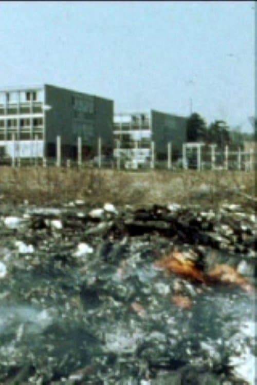 Le Ghetto Expérimental