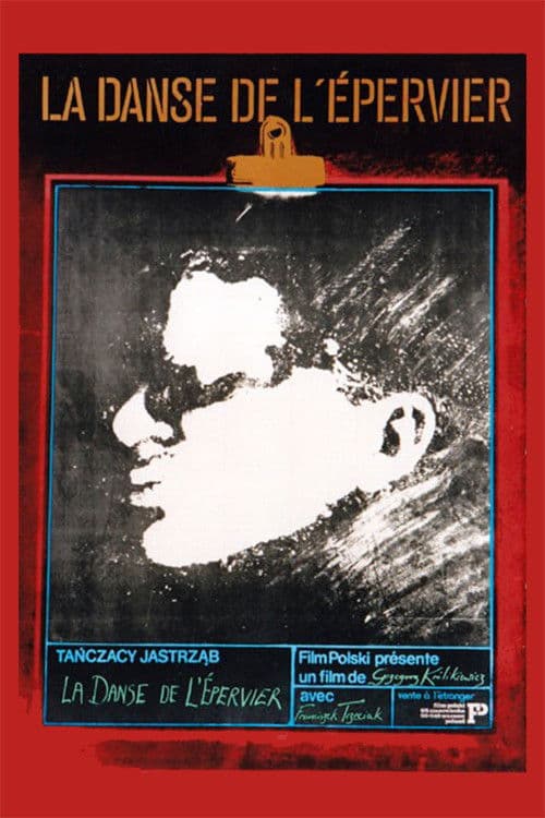 The Dance of the Hawk