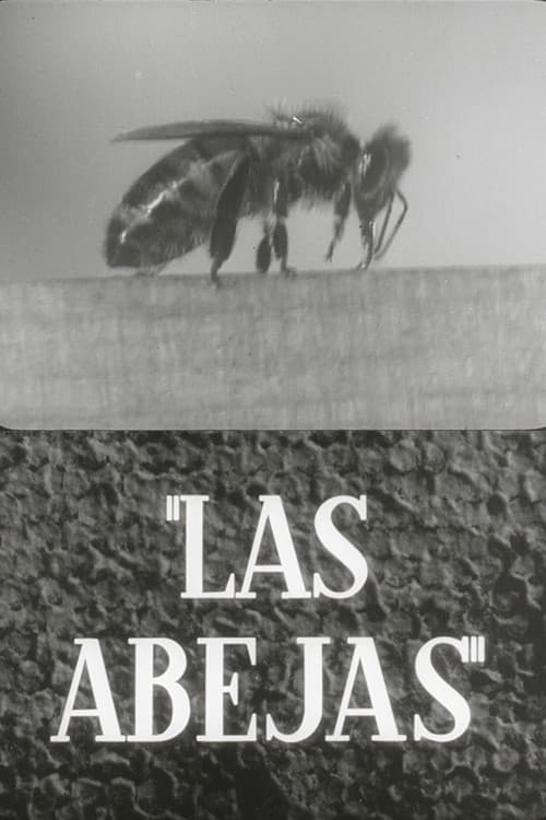 Las abejas