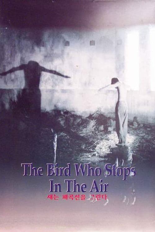 The Bird Who Stops in the Air