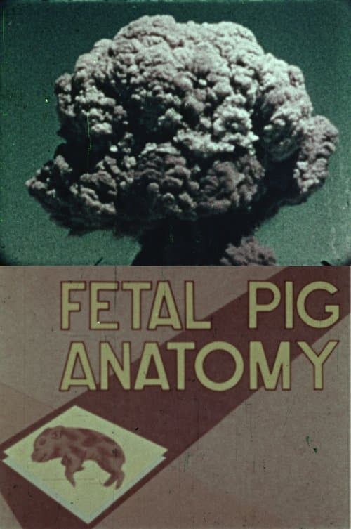 Fetal Pig Anatomy