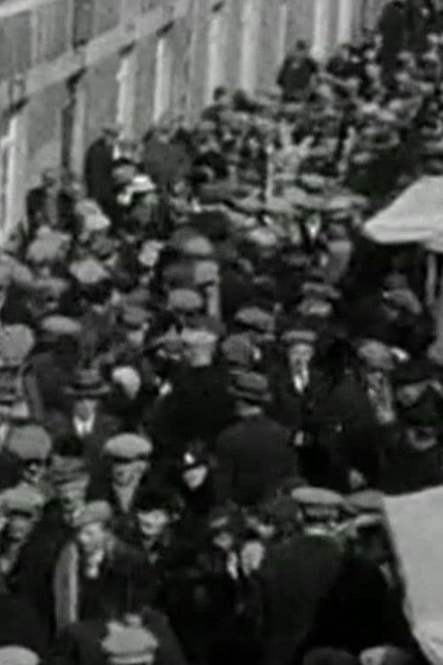 Processies en karnavals