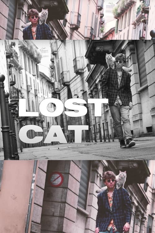 Lost Cat