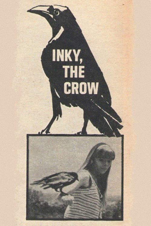 Inky, the Crow