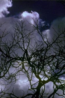 Kodachrome Dailies from the Time of Song and Solitude (Reel 2)