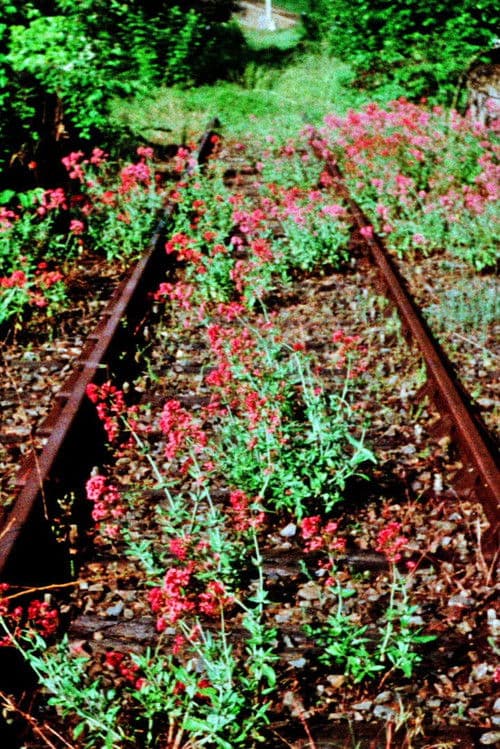 Phantom Ride Phantom