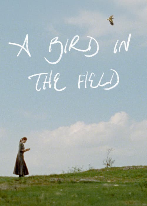 A Bird in the Field