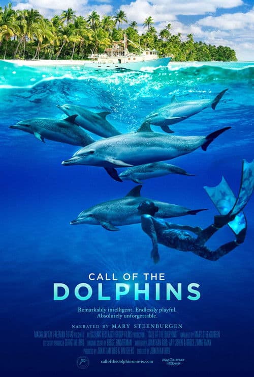 Call of the Dolphins