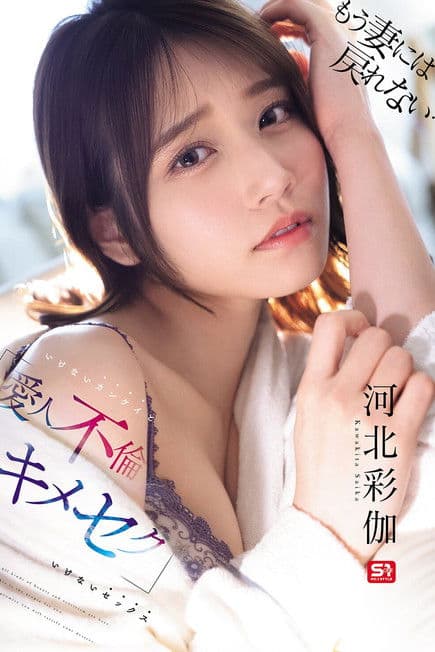 もう妻には戻れない… いけないカンケイ(爱人不伦)といけないセックス(キメセク)