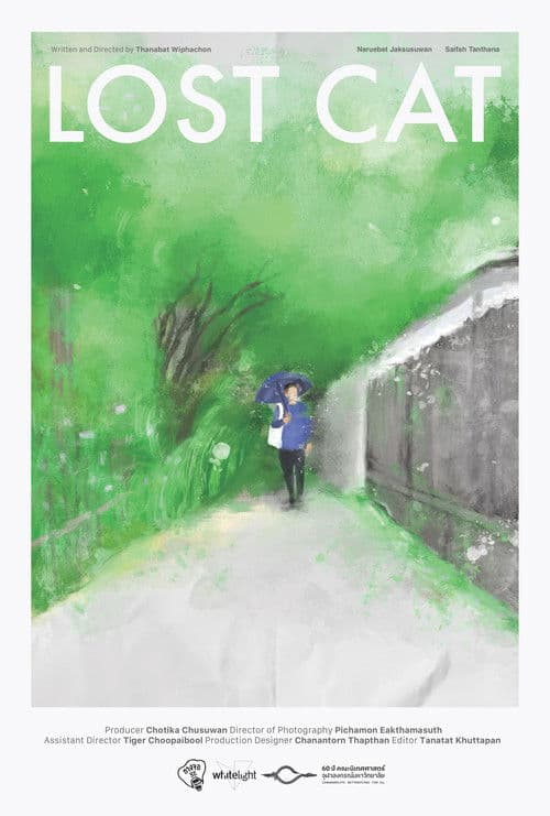 Lost Cat