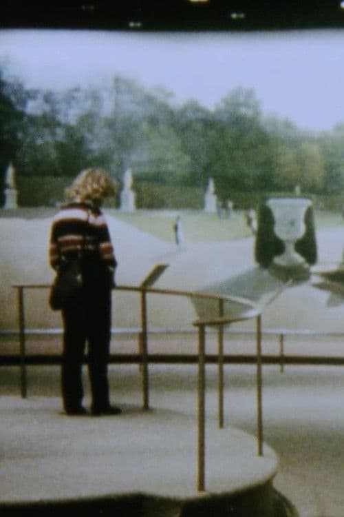 The Odyssey of Panoramas