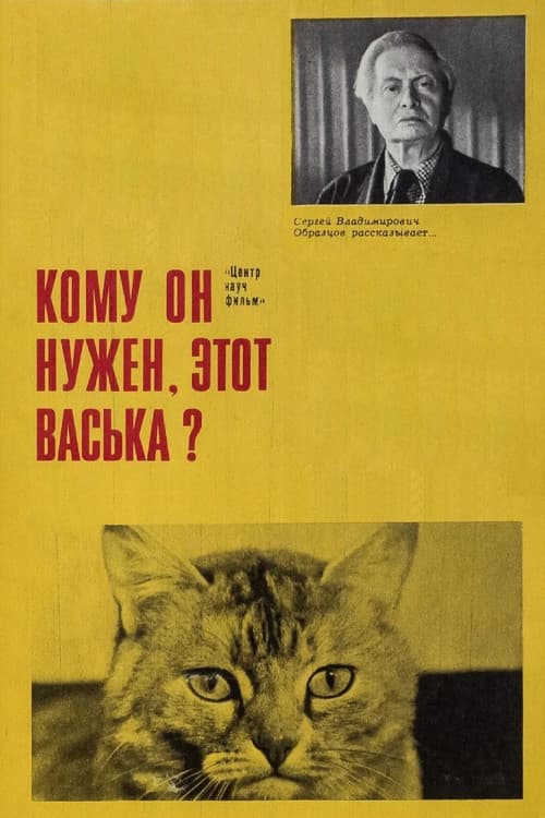 Who Needs This Vaska Anyway!