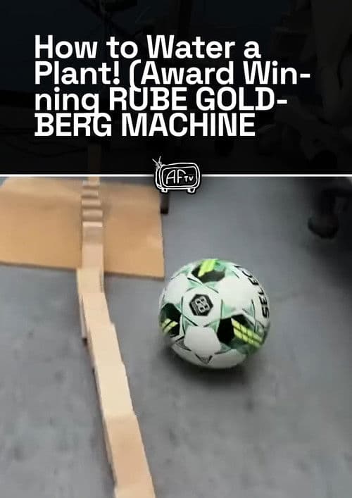 How to Water a Plant! (Award Winning RUBE GOLDBERG MACHINE 2023)