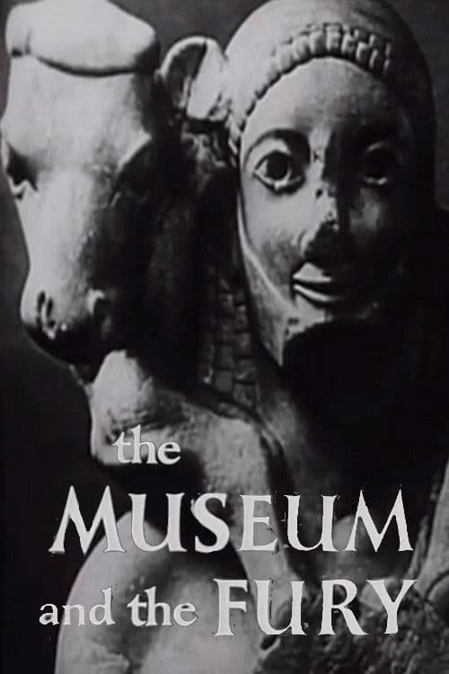The Museum and the Fury