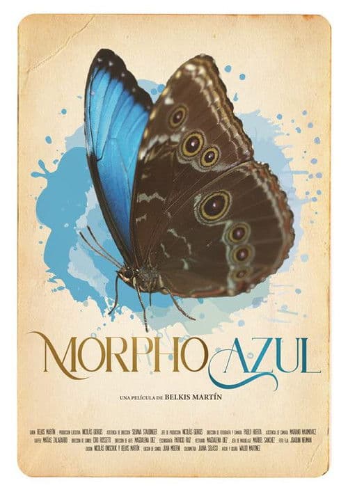 Morpho Azul