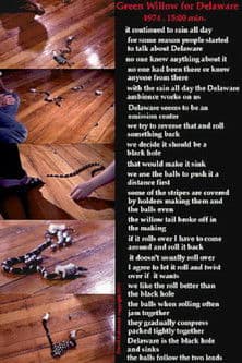 Green Willow for Delaware