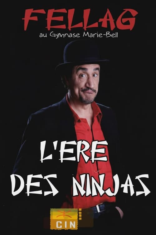 L'ère des Ninjas