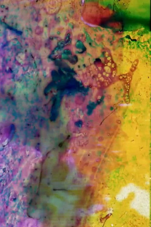 Kinski Wanted Herzog to Direct But He Turned it Down