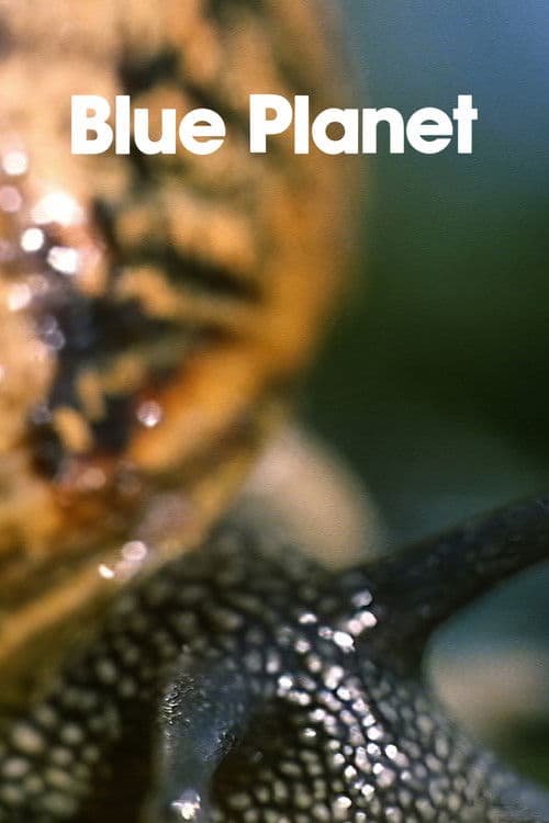 The Blue Planet