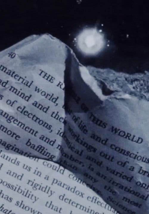 Street Film Part III