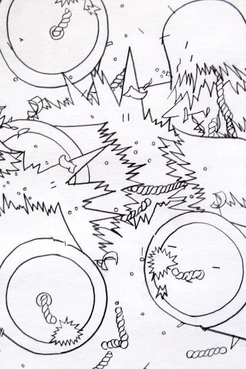 The Lives of Firecrackers