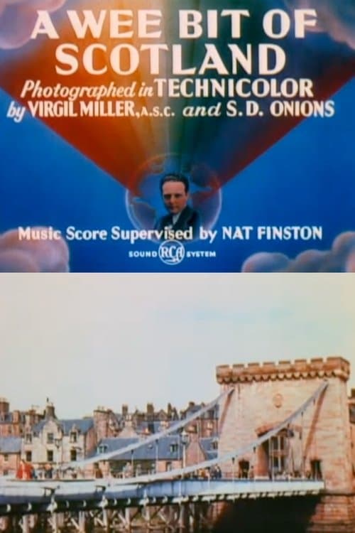 A Wee Bit of Scotland