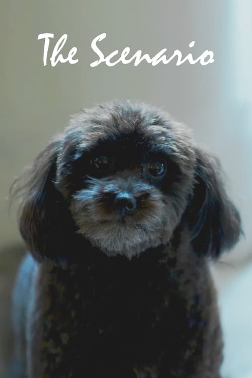 The Scenario
