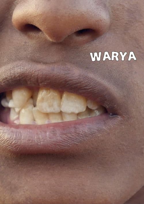 Warya