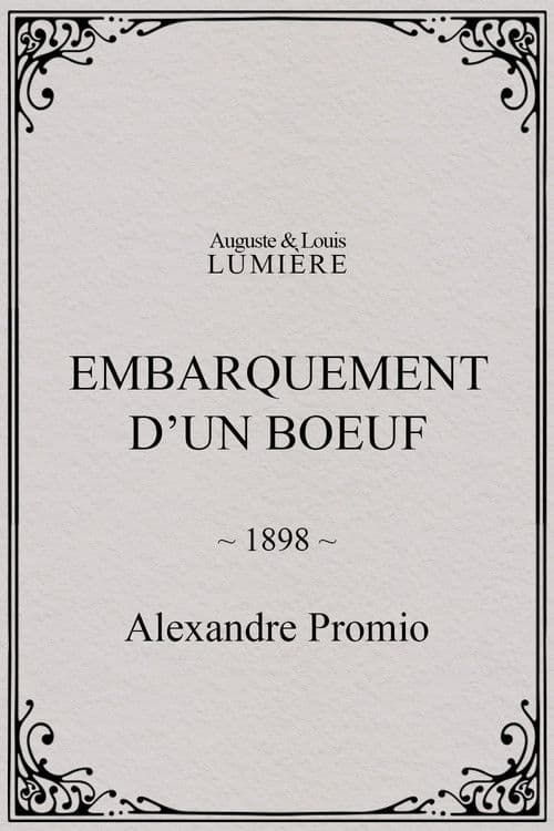 Embarquement d’un boeuf