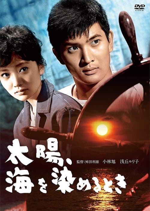 Where the Horizon Meets the Sun