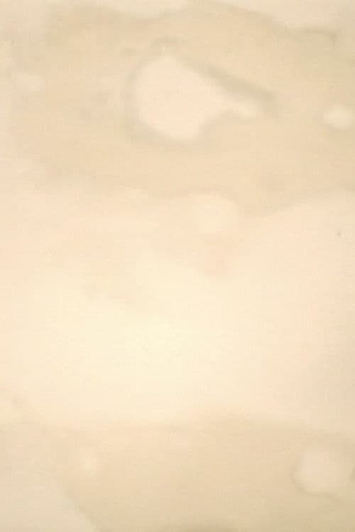 FUJICABLUE 孤独な映画