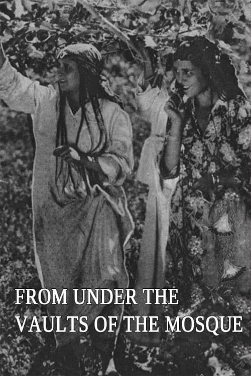 From Underneath the Arches of the Mosque