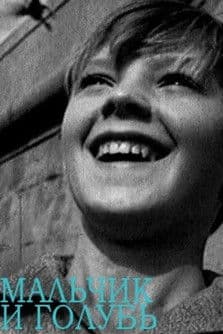 The Boy and the Pigeon