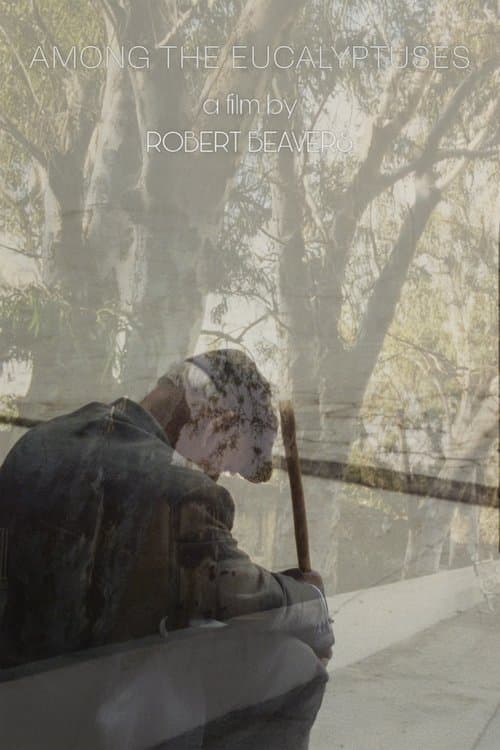 Among the Eucalyptuses