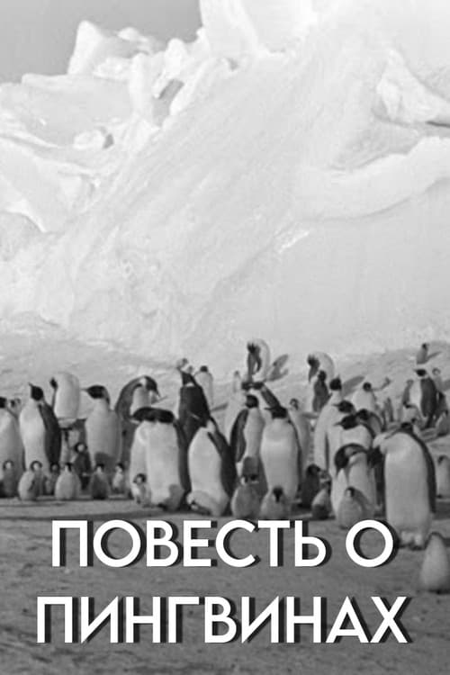 Tale of the Penguins