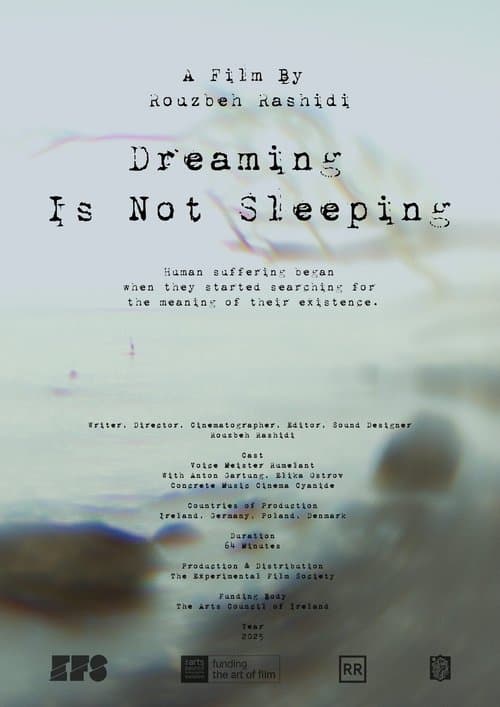 Dreaming Is Not Sleeping