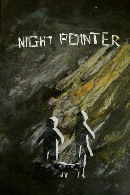 Night Pointer