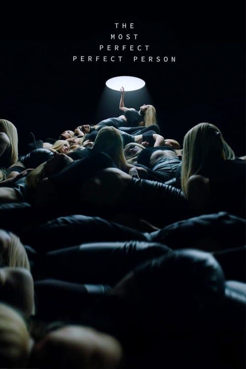 The Most Perfect Perfect Person